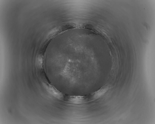 X0000111590288200907161500