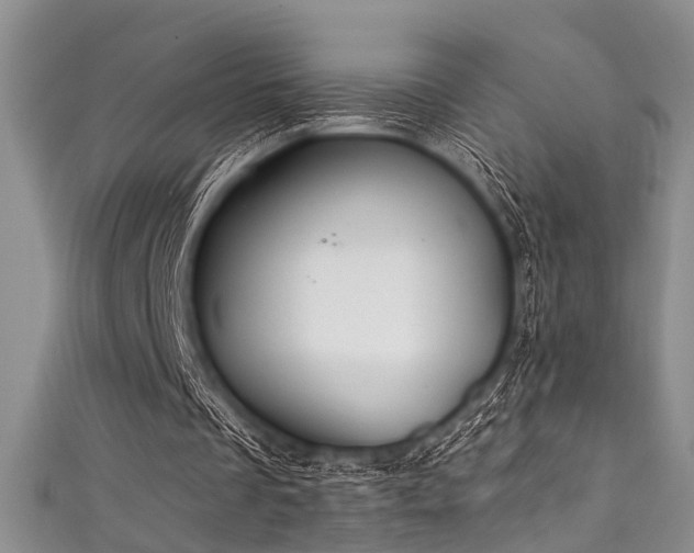 X0000111590289200907161459