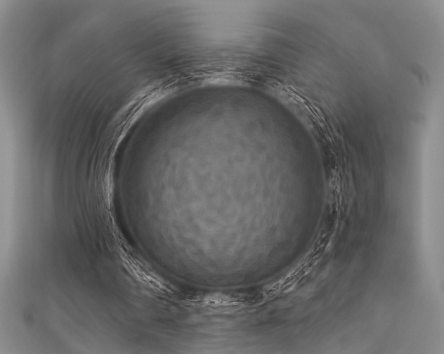 X0000111590290200907161459