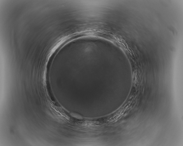 X0000111590292200907161459