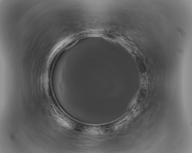 X0000111590293200907161459