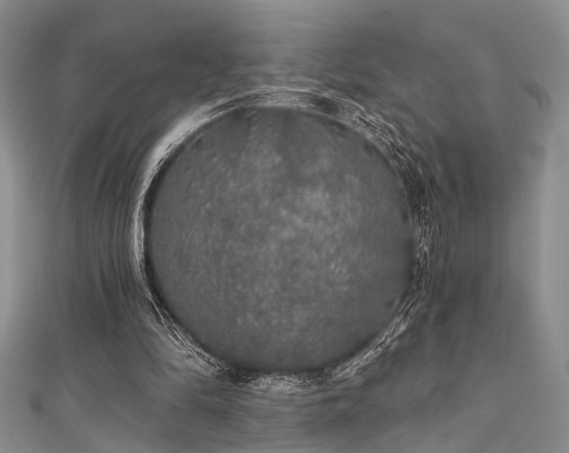 X0000111590294200907161459