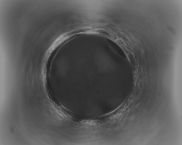 X0000111590295200907161459