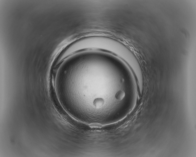 X0000111590296200907161459