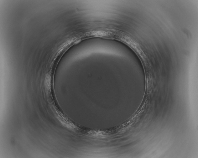 X0000111590297200907161459