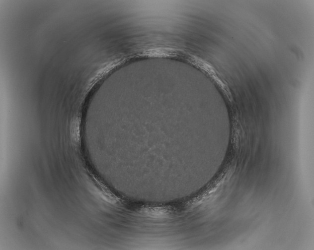 X0000111590299200907161459