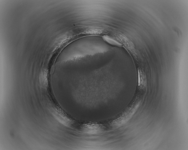 X0000111590300200907161459