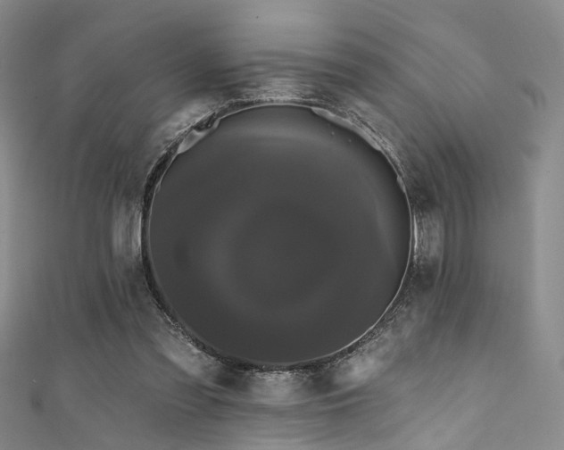 X0000111590301200907161459