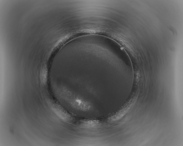 X0000111590304200907161459