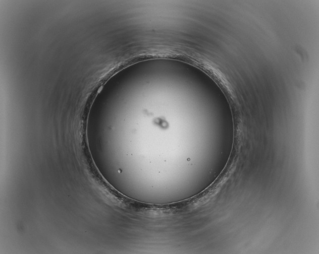 X0000111590305200907161459