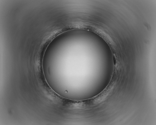 X0000111590306200907161459