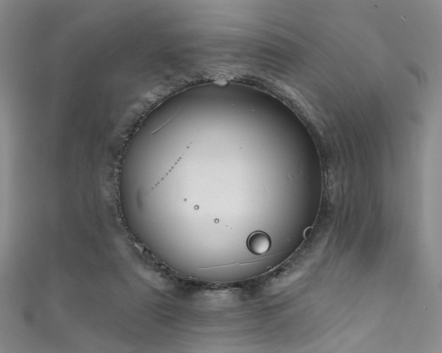 X0000111590307200907161459