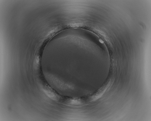 X0000111590308200907161459