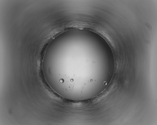 X0000111590309200907161459