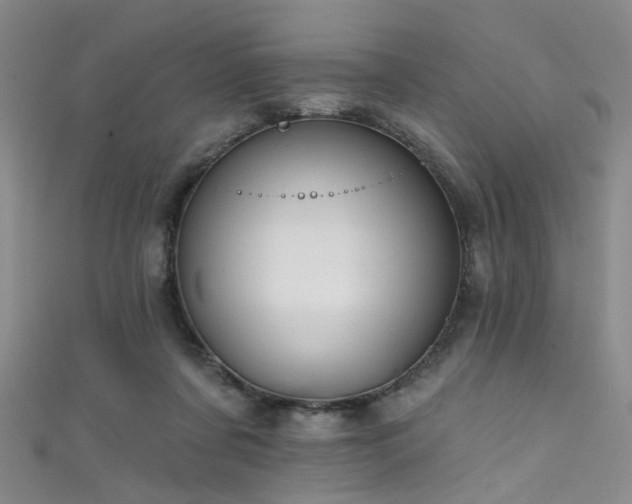 X0000111590311200907161459