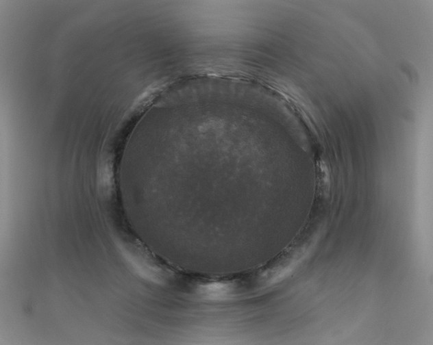 X0000111590312200907161459