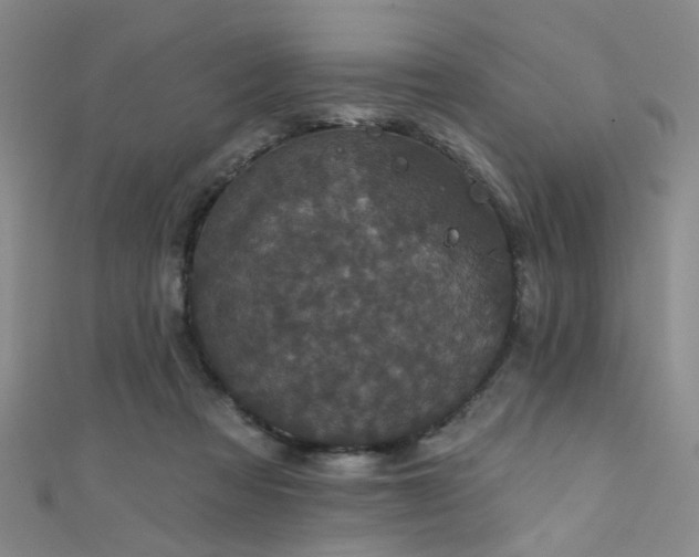 X0000111590313200907161459