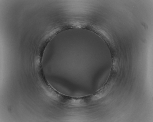 X0000111590314200907161459