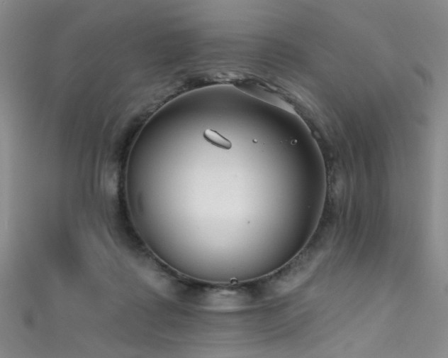 X0000111590315200907161459