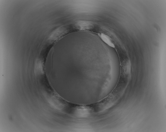 X0000111590316200907161459