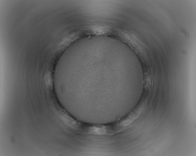 X0000111590317200907161459