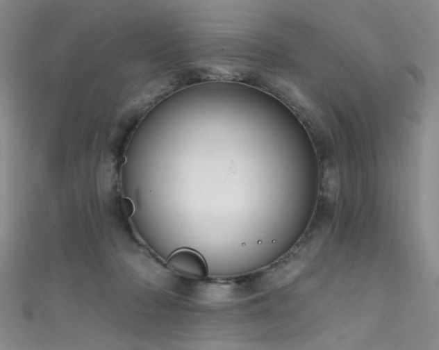 X0000111590318200907161459