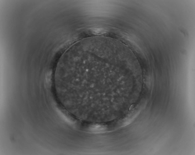 X0000111590319200907161459