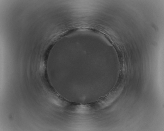 X0000111590320200907161459