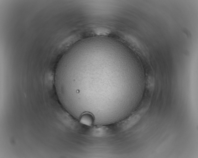 X0000111590321200907161459