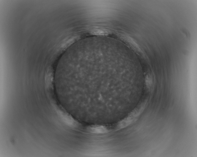 X0000111590322200907161459