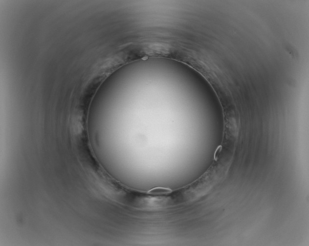 X0000111590323200907161459