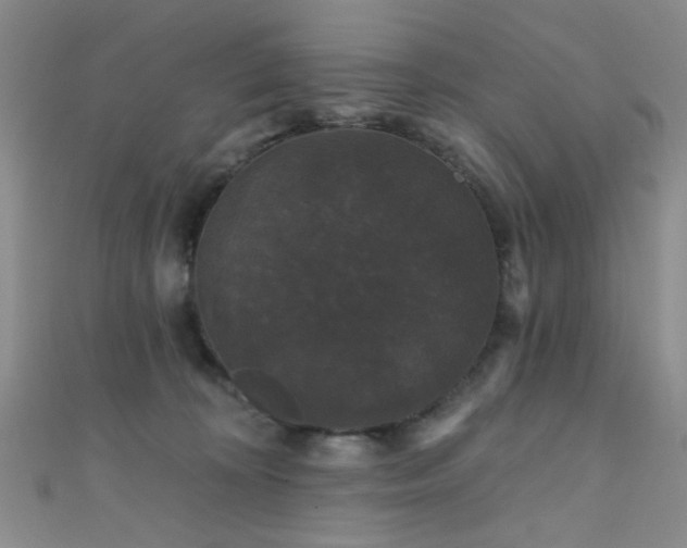 X0000111590324200907161459