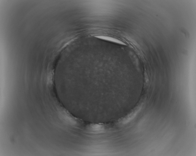 X0000111590325200907161459