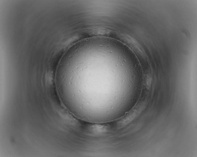 X0000111590326200907161459