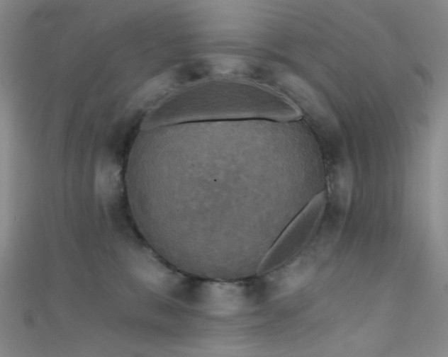 X0000111590327200907161459