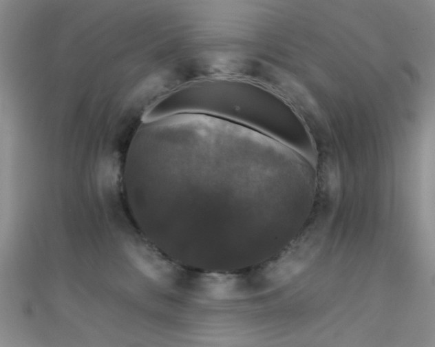 X0000111590328200907161459