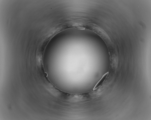 X0000111590329200907161459