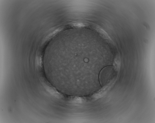 X0000111590330200907161458