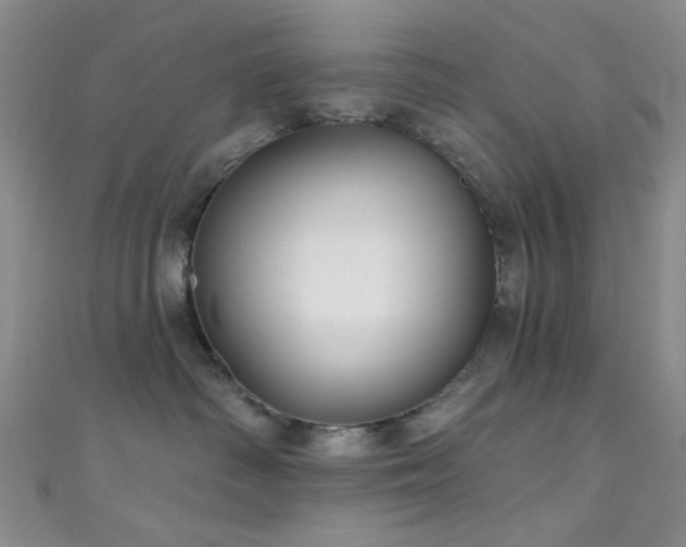 X0000111590334200907161458