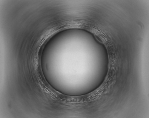 X0000111590338200907161458