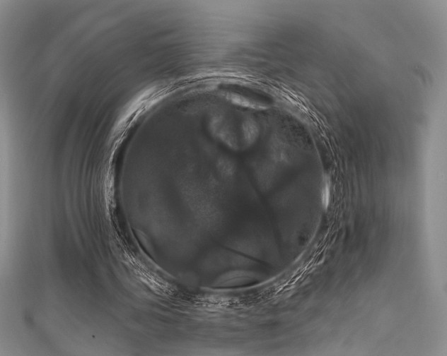 X0000111590339200907161458