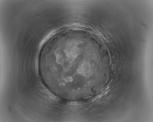 X0000111590341200907161458