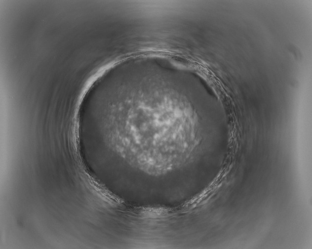 X0000111590342200907161458