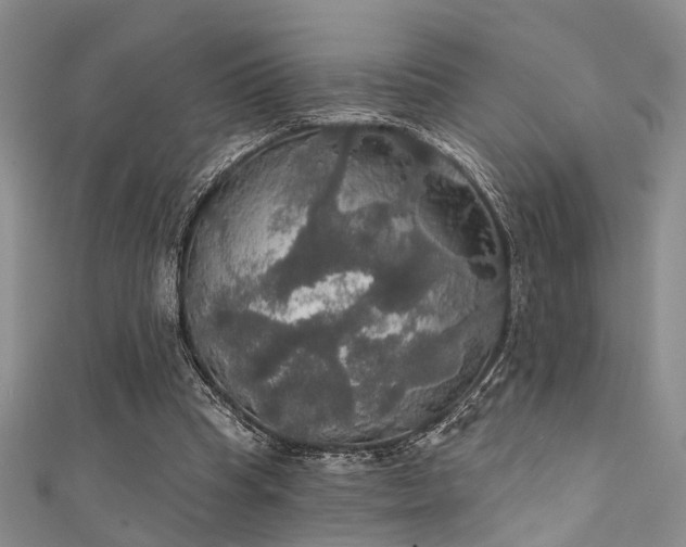 X0000111590345200907161458