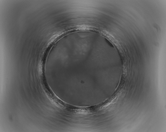 X0000111590347200907161458