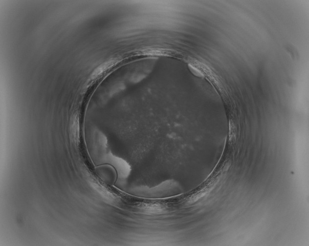 X0000111590349200907161458