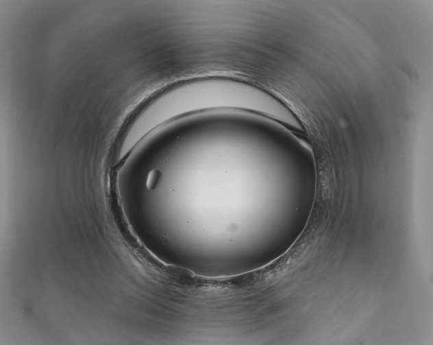 X0000111590350200907161458