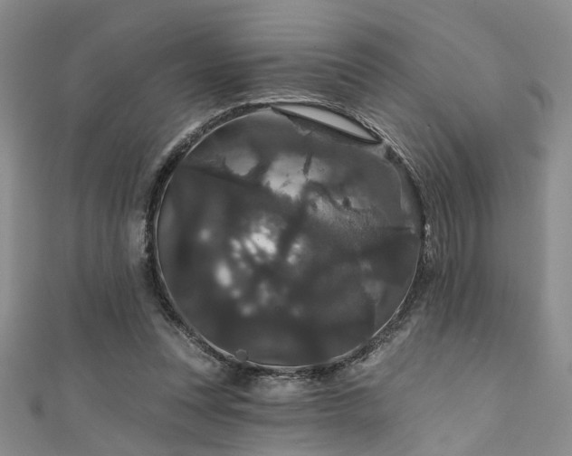 X0000111590351200907161458