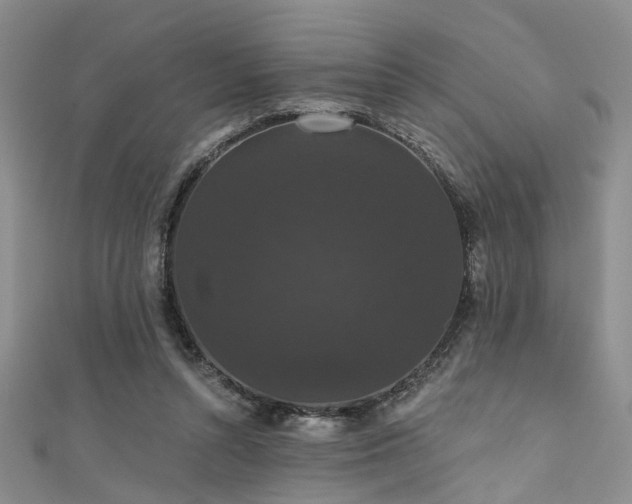 X0000111590352200907161458