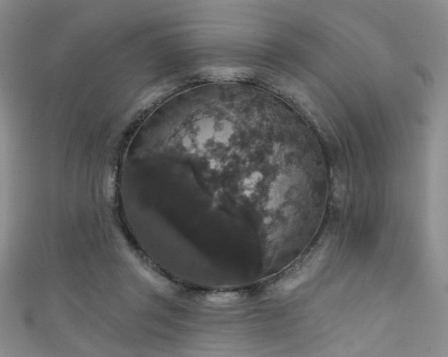 X0000111590357200907161458